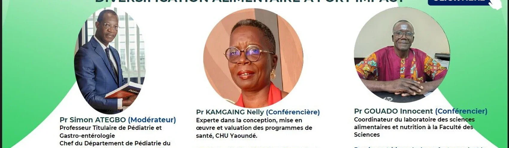 NNI FR Flyer