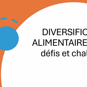 Podcast Diversification concepts et challenges Dr. Kanteng Gray March 2026.png