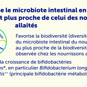 HMO et Dev't Intestinal FR.png