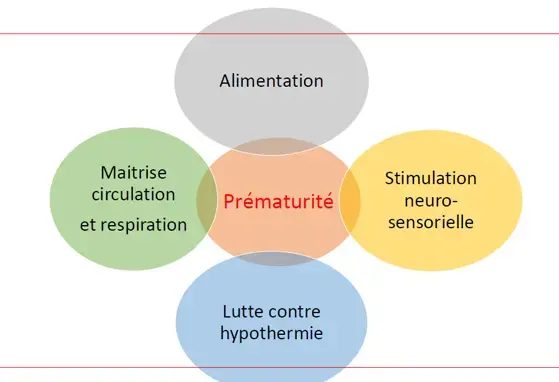 Alimentation