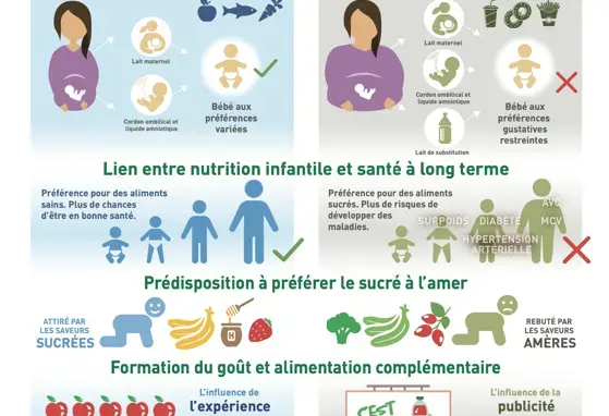  Influencer le goût chez le nourrisson afin de favoriser sa santé à long terme (infographics)