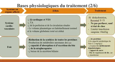 Bases physiologiques du traitement de la malnutrition Prise en charge de la malnutrition