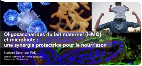 HMO et microbiote