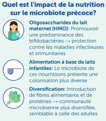 Microbiote Intestinal