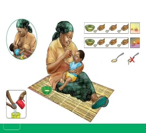 Tout savoir sur la diversification alimentaire Tout savoir sur la diversification alimentaire